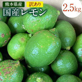 【ふるさと納税】国産レモン 訳あり 約2.5kg 県認証特別栽培 熊本県産 C級品 レモン れもん 檸檬 レモン果汁 ご家庭用 傷あり フードロス 柑橘類 九州産 国産 防腐剤・ワックス不使用 送料無料【2025年8月上旬-2026年6月上旬発送予定】