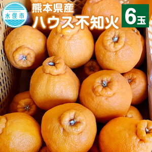 yӂ邳Ɣ[ŁzF{Y nEXsm 6 fR|i sm ʂ k ݂  ~J t[c ʕ Y B y2025N11{`12{\z