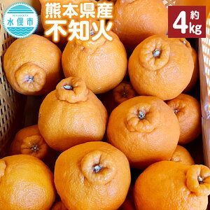 yӂ邳Ɣ[ŁzF{Y sm 6ʁi2kgj ܂́ 12ʁi4kgj fR|i k ݂  ~J t[c ʕ Y B y2026N1{`2{\z