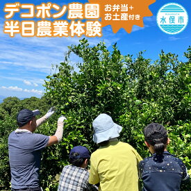 【ふるさと納税】デコポン農園農業体験 半日 お弁当＋お土産付き 大人2名 小中高生同伴3名まで無料 午前中 収穫 花摘み 摘果 剪定 草刈り 作業 体験 不知火 柑橘 みかん 蜜柑 ミカン フルーツ 果物 九州 送料無料