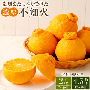 yӂ邳Ɣ[ŁzՂ󂯂Zsm eʂIׂ遄 7`10 2kg 12`20 4.5kg ʂ ݂ k t[c ʕ Y B F{ y2026N2{-3{