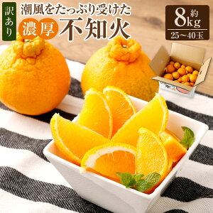 yӂ邳Ɣ[Łzy󂠂zƒp Zsm 25`40 8kg ʂ ݂ k t[c ʕ Y B F{  y2026N2{-3{\z