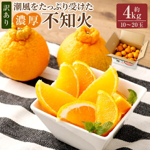 yӂ邳Ɣ[Łzy󂠂z ƒp Zsm 10`20 ( 4kg ) y2026N2{`3{\z fR| ݂ k ʕ t[c F{ 