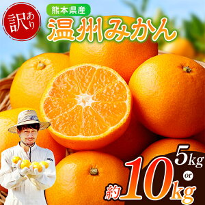 yӂ邳Ɣ[Łz󂠂 miJk_ B݂ Iׂ 5kg or 10kg | ʕ  t[c k k ݂ Bƒp 󂠂 F{ ʖs