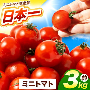 �y�ӂ邳�Ɣ[�Łz �F�{���Y �~�j�g�}�g ��3kg | ��� �₳�� �g�}�g �Ƃ܂� �~�j�g�}�g �v�`�g�}�g | �F�{�� �ʖ��s