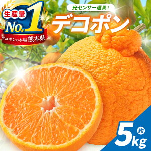 �y�ӂ邳�Ɣ[�Łz���Z���T�[ �I�ʁI �F�{���Y �f�R�|�� �� 5kg | �ʕ� �������� �t���[�c ���k ���k�� �ł��ۂ� �s�m�� �݂��� �{ ���o �F�{�� �ʖ��s �������� �Y�n����