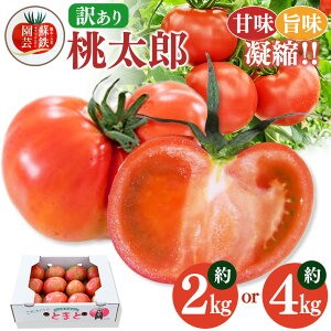 yӂ邳Ɣ[Łzƒp g}g Y Iׂ e  2kg / 4kg 12`6Ŕ | ʖ F{