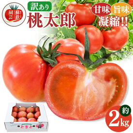 【ふるさと納税】ご家庭用 トマト 桃太郎 約 2kg＜1月～6月で発送＞ | 玉名 熊本