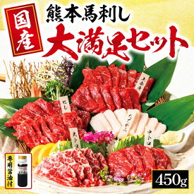 【ふるさと納税】 馬刺し 5種 大満足ボリューム「大満足セット」 約450g | 玉名 熊本