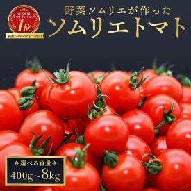 【ふるさと納税】ミニトマト ソムリエトマト ダイヤ プラチナ 熊本 玉名 トマト ミニトマト とまと 生産者直送 産地直送 送料無料 レッドアップ メール便 置き配 毎週定期便