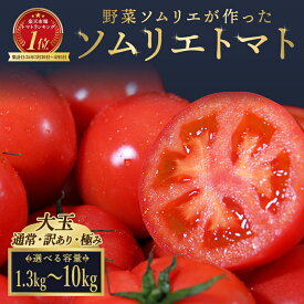【ふるさと納税】トマト 大玉 訳あり 極み ソムリエトマト 農家直送 熊本 玉名 レッドアップ