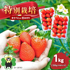 �y�ӂ邳�Ɣ[�Łz�ʕ� ������ � �C�`�S ���݂̂� �䂤�ׂ� �t���[�c 1,000g ���ʍ͔| 1kg�i250g×4�p�b�N�j | �ʖ� �F�{ �F�{�� ���Y�Ғ��� ��������