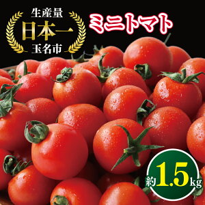 yӂ邳Ɣ[Łz~jg}g Y { ʖs !I ~jg}g  1.5kg  g}g v`g}g YҒ Yn F{ ʖs
