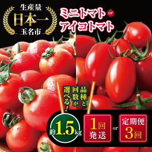 yӂ邳Ɣ[ŁzIׂ   ~jg}g or ACRg}g 1 or 3 Y { ʖs ! ! | ~jg}g ACRg}g  g}g v`g}g 3 YҒ Yn F{ 