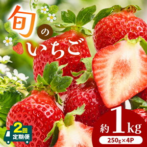 yӂ邳Ɣ[Łz y  2 zF{Y {   1kg i250g ×4Pj | t[c ʕ   C`S {  F{ F{ ʖ ʖs