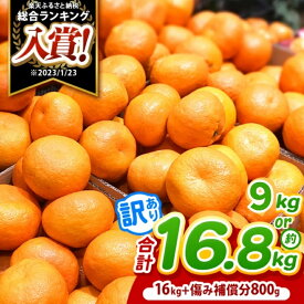 【ふるさと納税】 訳あり 熊本県産 温州 みかん 約9.5kg or 16.8kg | 果物 くだもの フルーツ 柑橘 柑橘類 みかん 温州 家庭用 大量 みかん 玉名 熊本 送料無料 不揃い 傷 小玉 大玉 混合 自宅用
