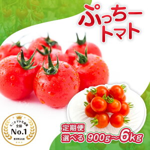 yӂ邳Ɣ[Łz Ղ[g}g ~jg}g 900g or 1.8kg or 3kg or 4kg or 6kg ( 1 or 2 or 3 ) |  ₳ ~jg}g ~j Ƃ܂ g}g Rs   F{ ʖs