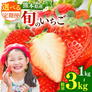 yӂ邳Ɣ[ŁzIׂ e E  y2 or 3z {̂ 500g or 1000g | ʕ  t[c   C`S ܂Ƃ 䂤ׂ F{ ʖs