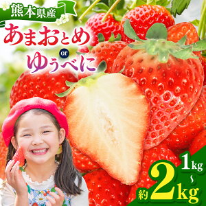 yӂ邳Ɣ[Łz{_ ܂Ƃ 䂤ׂ Iׂ 1kg 1.5kg 2kg | ʕ  t[c   C`S ܂Ƃ 䂤ׂ F{ ʖs