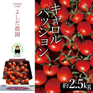 yӂ邳Ɣ[Łz~jg}g w LpbV x 2.5kg 悵_ |  ₳ g}g Ƃ܂ n F{ ʖs Yn YҒ 