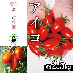 yӂ邳Ɣ[Łz~jg}g w ACR i ԐF j x 2.5kg 悵_ |  ₳ g}g Ƃ܂ n F{ ʖs Yn YҒ 