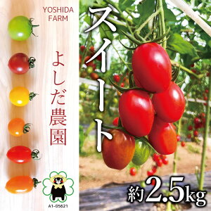 yӂ邳Ɣ[Łzw 悵_ x ~jg}g ( XC[g ) 2.5kg |  ₳ g}g Ƃ܂ T_ F{ ʖs Yn YҒ 
