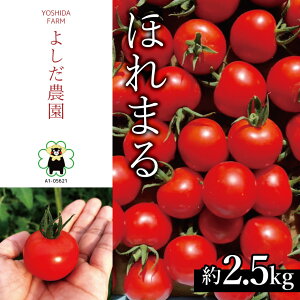 yӂ邳Ɣ[Łz~jg}g w ق܂ x 2.5kg 悵_ |  ₳ g}g Ƃ܂ n T_ F{ ʖs Yn YҒ 