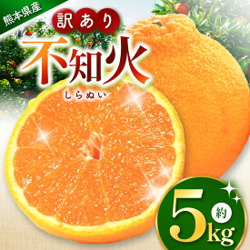 【ふるさと納税】こだわり栽培 訳あり 不知火 約 5kg iFARM 岩城農園 | みかん ミカン 不知火 しらぬい 訳アリ ご家庭用 家庭用 柑橘 柑橘類 農家支援 フードロス 不知火5kg フルーツ 果実 果物 くだもの 人気 熊本県 玉名市