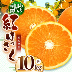 yӂ邳Ɣ[Łz͔| 󂠂 g  10kg iFARM _ | ݂ ~J  ͂ g͂ k k _Ǝx g10kg ƒp ƒp t[c ʎ ʕ  