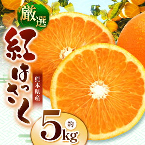 yӂ邳Ɣ[Łz͔| I g  5kg iFARM _ | ݂ ~J  ͂ g͂ k k _Ǝx g5kg t[c ʎ ʕ  lC F{ ʖs