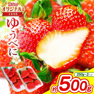 yӂ邳Ɣ[ŁzF{ ʖY  䂤ׂ 500g i 250g×2pbN j | ʕ  t[c C`S  F{ ʖs Yn YҒ 2pbN ʖ F{ 