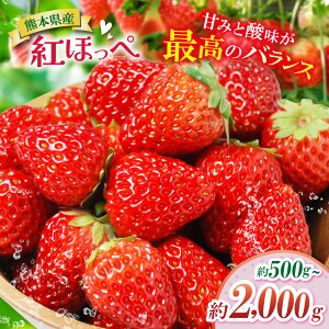 yӂ邳Ɣ[ŁzIׂ e F{܂ȎY gق 500g 1000g 2000g | t[c ʕ  C`S   F{ ʖs
