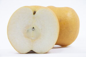 yӂ邳Ɣ[ŁzV Iׂ 1.8kg / 5kg / 10kg | V  iV Ȃ t[c ʕ F{ ʖs