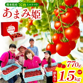 【ふるさと納税】選べる 内容量 熊本県産 完熟ミニトマト「あまみ姫」770g or 【訳あり】 1.5kg | 野菜 やさい トマト とまと 人気 生産者直送 産地直送 熊本県 玉名市