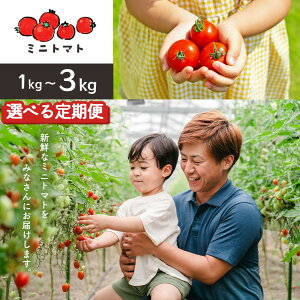 yӂ邳Ɣ[Łz~jg}g Iׂ 1kg or 2kg or 3kg 1 or 3 |  g}g ~jg}g F{ ʖs 
