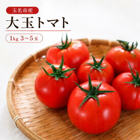 【ふるさと納税】玉名市産 大玉トマト 選べる1kg 4kg | 野菜 やさい トマト ミニトマト 特選 熊本県 玉名市 送料無料 産地直送