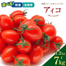 【ふるさと納税】ミニトマト アイコ 1.2kg 2kg 3.5kg 7kg 1回 3回 4回 5回 定期 | 玉名 熊本