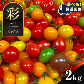 【ふるさと納税】 カラフル ミニトマト 2kg 1回 定期 2回 3回 4回 5回 トマト カラートマト | 玉名 熊本