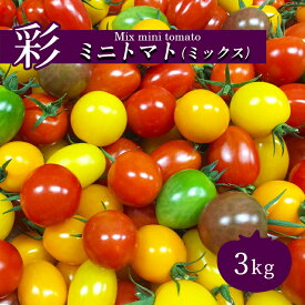 【ふるさと納税】トマト ミニトマト 3kg カラートマト | 玉名 熊本 トマト とまと