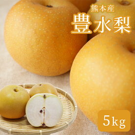 【ふるさと納税】 豊水 5kg 梨 フルーツ 果物 くまもと県 玉名 送料無料 秋 旬