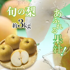 【ふるさと納税】厳選 旬の 梨 約 3kg フルーツ 秋 旬 果物 玉名 熊本 送料無料