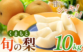 【ふるさと納税】 くまもと 旬の 梨 約 3kg / 5kg / 10kg | フルーツ 果物 くだもの なし ナシ 梨 旬 熊本県 玉名市