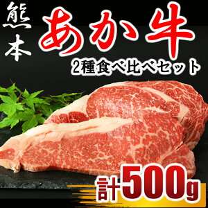 yӂ邳Ɣ[Łz Xe[L v500g 2 Hה T[C250g u[X250g  Xe[L `  F{  | ʖ F{