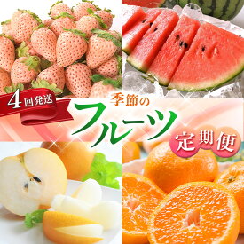 【ふるさと納税】フルーツ 定期便 4回 白いちご すいか 梨 みかん | 玉名 熊本