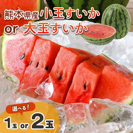 【ふるさと納税】小玉 スイカ 大玉 スイカ 1玉 or 2玉 | 西瓜 赤色 熊本県 すいか 果物 くだもの フルーツ 薄皮で甘い 夏の果物 熊本県産 期間限定 産地直送 送料無料