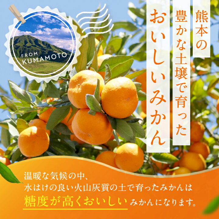 楽天市場】【ふるさと納税】 訳あり くまもと みかん 選べる 内容量 約 