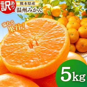 yӂ邳Ɣ[Łz󂠂 B݂ 5kg |  k ݂ ʕ t[c Ԍ { 召 ƒp Yn s\ IXXԗi  e F{ ʖs