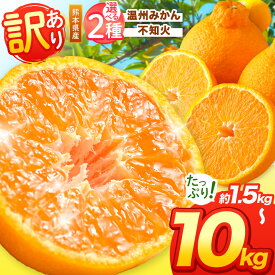 【ふるさと納税】訳あり 選べる 不知火 5kg 10kg 温州みかん 1.5kg 5kg 10kg | 不知火 蜜柑 柑橘 みかん 果物 フルーツ 期間限定 旬 大小混合 家庭用 産地直送 先行予約 オススメ返礼品 送料無料 大容量 熊本県 玉名市