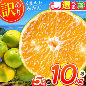 �y�ӂ邳�Ɣ[�Łz �I�ׂ� ���e�� �󂠂� 2L�ȏ� ���܂��� �݂��� �� 5kg / 10kg | �ʕ� �������� �t���[�c ���k ���k�� �݂��� ���B �ƒ�p 5�L�� 10�L�� ��� �݂��� �ʖ� �F�{ �������� ����p