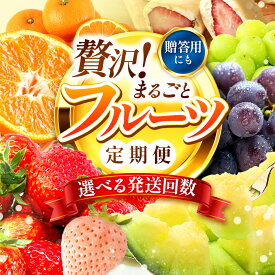 【ふるさと納税】 【秀品｜フルーツ定期便】贈答用 高評価★4.5 果物 フルーツ 選べる発送回数 いちご みかん 不知火 スイカ ぶどう メロン シャインマスカット 梨 柿 アイス クレープ 2回 ~ 12回 1年 お試し 旬 取れたて 熊本県 玉名市